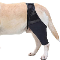 Dog Rear Leg Brace for Joint Support and Injury Recovery