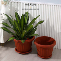 Two-Tone Resin Plastic Nursery Pot for Seedlings and Succulents