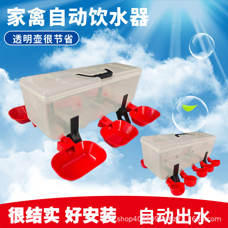 Automatic Poultry Waterer with Drinking Bowls for Chickens, Pigeons, and Quails
