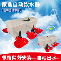 Automatic Poultry Waterer with Drinking Bowls for Chickens, Pigeons, and Quails