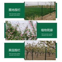 Galvanized Welded Wire Mesh Fence for Garden, Poultry, and Farm Enclosures