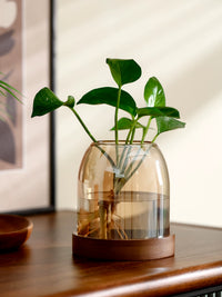 Vintage Glass Small Flower Vase Hydroponic Plant Container for Home Office Desktop Decor