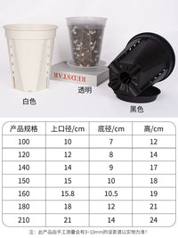 Tall Transparent Orchid & Aroid Pot with Root Control and Breathable Design for Indoor Plants