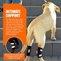 Reflective Dog Knee Brace Leg Joint Protector for Large Dogs