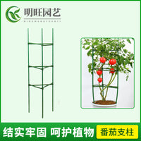 Tomato Cage Plant Support Stakes for Garden and Patio, Coated Steel Pipe Trellis for Climbing Plants