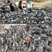 Natural Qinglong Stone for Aquarium Landscaping and Micro-Landscape Decor