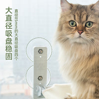 Suction Cup Cat Hammock Window Perch for Sunbathing, Breathable Mesh or Plush Pet Bed