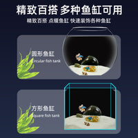 Aquarium Hideaway House with Glass Beads for Small Fish and Shrimp