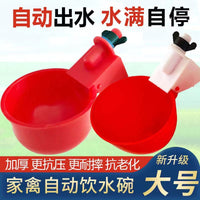 Automatic Poultry Waterer for Chickens and Ducks