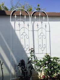 European Style Wrought Iron Plant Climbing Trellis for Roses and Flowers, Outdoor Garden Screen