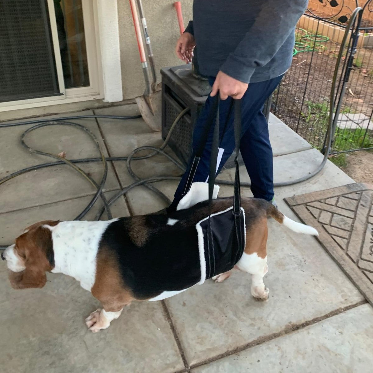 Portable Pet Mobility Harness for Injured Dogs and Cats