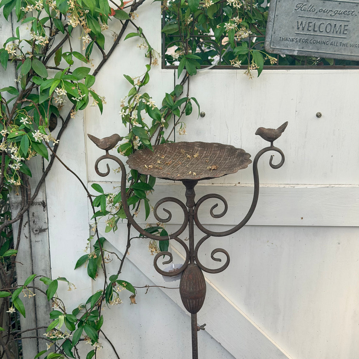 Vintage Iron Bird Feeder Garden Stake with Tray for Climbing Plants