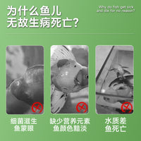 Oubaise Koi Pond and Aquarium Disinfectant Sea Salt for Ornamental Fish Water Purification and Balance