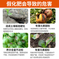 Urea Fertilizer for Vegetables and Flowers, High-Purity Nitrogen Compound Fertilizer for Agricultural Use