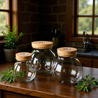Borosilicate Glass Desktop Ecosystem Bottle with LED Light Hydroponic Vase Micro Landscape Fish Tank