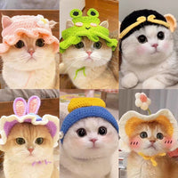 Pet Cat Dog Knitted Hat Costume Headwear Funny Handmade Woolen Cap