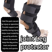 Dog Leg Brace for Injury Support and Protection