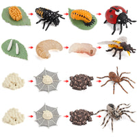Life Cycle Figurines Montessori Educational Toys for Kids