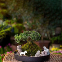 Iron Art Tray for Bonsai and Micro Landscape Planters, Metal Base for Green Plants and Floral Arrangements