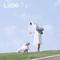Pet Dog Wedding Dress Cat Princess Skirt Puppy Photography Costume Thin Corgi Clothes