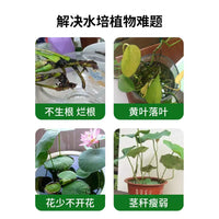 Hydroponic Plant Nutrient Solution for Indoor Potted Plants, Universal Liquid Fertilizer