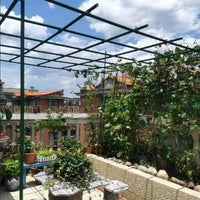 Outdoor Garden Pergola Kit Metal Arch Trellis for Climbing Plants
