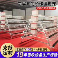 Galvanized Layer Hen Cage with Automatic Manure Removal and Feeding Trough, 3-4 Tiers