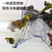 Acrylic Turtle Basking Platform for Aquatic Tanks