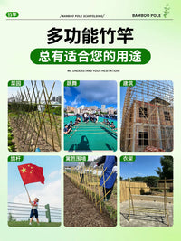 Garden Climbing Plant Support Stakes Bamboo Poles for Vegetables Beans Cucumbers Outdoor Fence Trellis