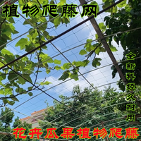 Plant Climbing Net for Fruits and Vegetables, Trellis Netting for Vines, Loofah, Bitter Gourd, Passion Fruit, and Beans