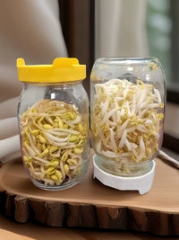 Mason Jar Sprouting Kit for Hydroponic Broccoli Alfalfa Sprouts, Thick Glass Seedling Bottle
