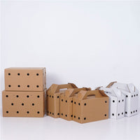 Pet Carrier Box for Small Animals, Live Transport Cage, Five-Layer Extra Hard Corrugated Cardboard for Rabbits and Pigeons