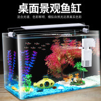 Curved Glass Aquarium Fish Tank for Desktop & Home Decor, Small to Medium Size