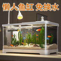 Desktop PET Fish Tank with Filter and Oxygenation, High Transparency Aquarium for Small Fish
