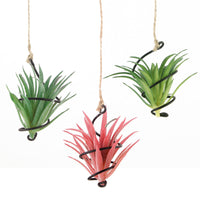 Metal Air Plant Holder, Tillandsia Display Stand, Whirlwind Shape, Hanging Planter for Soilless Plants