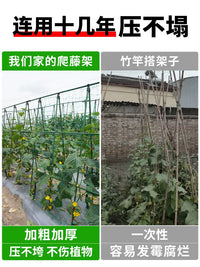 Heavy-Duty Garden Trellis for Climbing Plants, Vegetables, and Fruits - Includes Netting