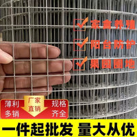 Hot-Dip Galvanized Steel Wire Mesh for Fencing, Poultry Enclosures, and Garden Protection