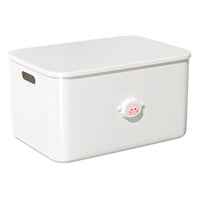 Cartoon Storage Box with Lid for Snacks, Toys, and Sundries