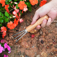 Stainless Steel Bonsai Soil Loosening Rake and Fork Tool for Gardening