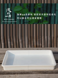 Rectangular Plastic Drip Tray / Seedling Tray for Succulents and Plants