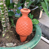 Automatic Ceramic Pineapple Plant Watering Spike for Potted Plants