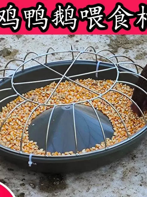 Automatic Poultry Feeder Trough for Chickens Ducks Geese, Anti-Flip Design