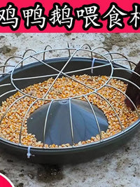 Automatic Poultry Feeder Trough for Chickens Ducks Geese, Anti-Flip Design