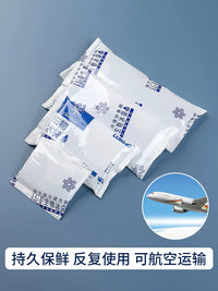 Reusable Gel Ice Packs for Food Delivery and Outdoor Preservation, No Water Injection Needed