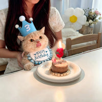Cat Birthday Hat and Bib Set for Pets, Decorative Scarf and Hat for Photo Props