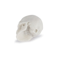 Aquarium Fish Tank Ornament Animal Skull Head Decor for Landscaping and Pet Habitat