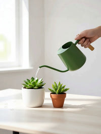 Nordic Style Stainless Steel Watering Can with Wooden Handle, Long Spout, 1000ml