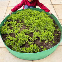 Large Round Raised Garden Bed for Balcony and Rooftop Vegetable Planting