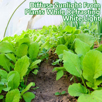 Plant Sunshade Netting for Garden and Vegetable Protection