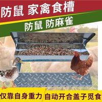 Automatic Treadle Chicken Feeder, Rainproof Anti-Theft Poultry Food Trough